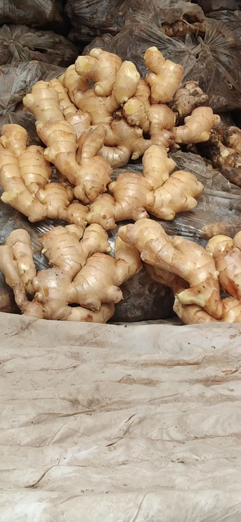 山东安丘大姜一手货源保质保量，精加工，水洗姜