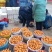 云南石林精品大五星枇杷，货源充足，基地直发，一手货源，