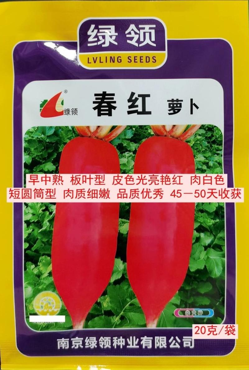 绿领春红萝卜种子，20克