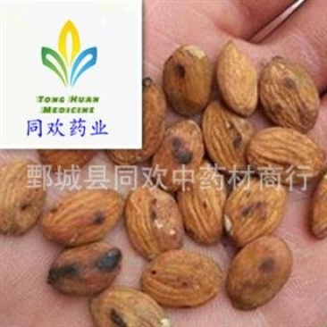 【带皮炒桃仁】@【同欢药材】中药材批发供应规格齐全
