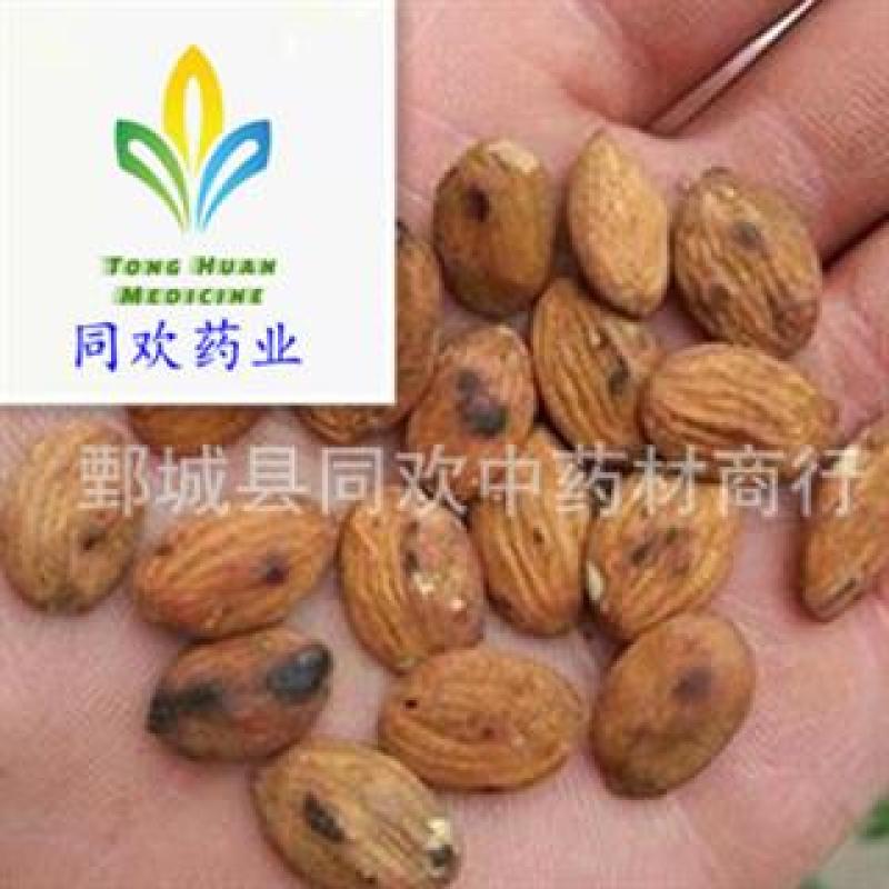 【带皮炒桃仁】@【同欢药材】中药材批发供应规格齐全