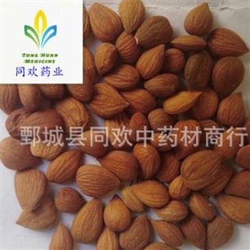 【选装山桃仁颗粒饱满】@【同欢药材】中药材批发供应