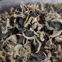 湖北神农架山泉黑木耳秋木耳