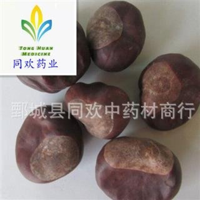 【娑罗子】@【同欢药材】中药材批发供应规格齐全