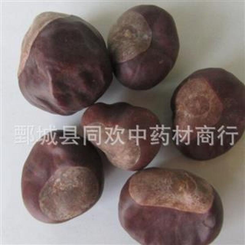 【娑罗子】@【同欢药材】中药材批发供应规格齐全