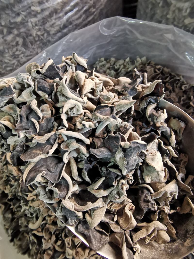 湖北神农架山泉黑木耳秋木耳