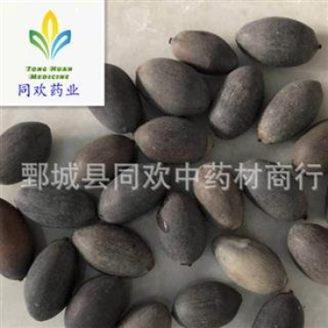 【选货石莲子】@【同欢药材】中药材批发供应规格齐全