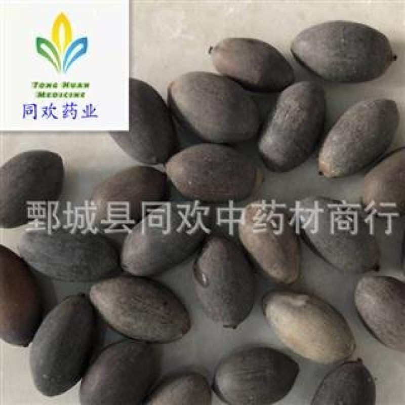 【选货石莲子】@【同欢药材】中药材批发供应规格齐全