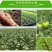 生物有机肥改良土壤抑制病虫害绿植蔬菜用肥