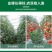 生物有机肥改良土壤抑制病虫害绿植蔬菜用肥