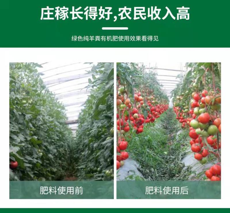 生物有机肥改良土壤抑制病虫害绿植蔬菜用肥