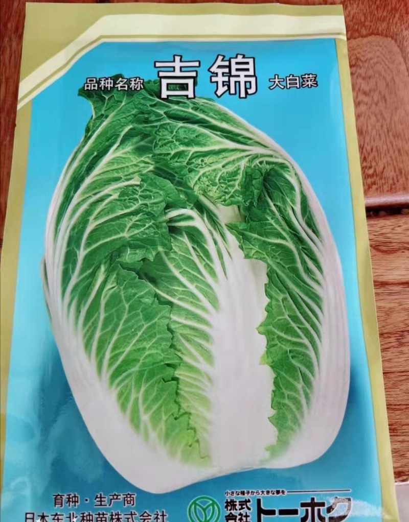 白菜苗黄心大白菜苗耐热白菜苗耐寒白菜苗吉锦白菜种苗