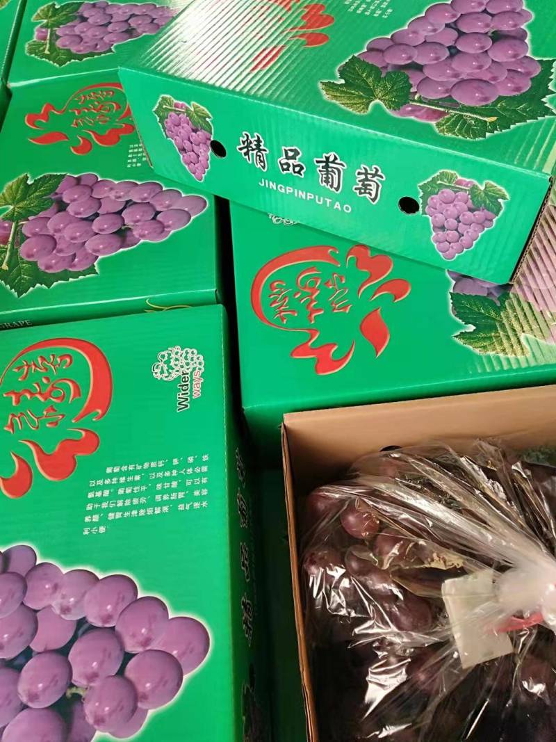 阳光玫瑰