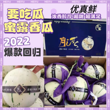 蜜露甜瓜月露甜瓜万亩种植基地对接电商团队市场商超