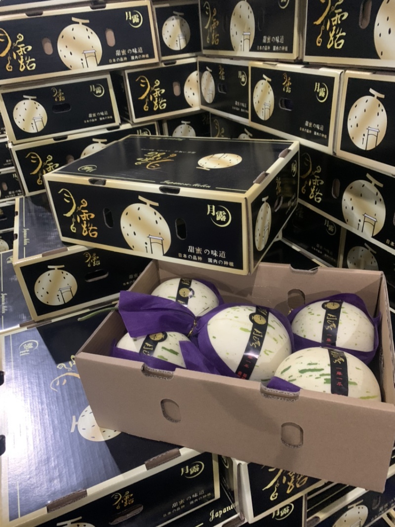 蜜露甜瓜月露甜瓜万亩种植基地对接电商团队市场商超