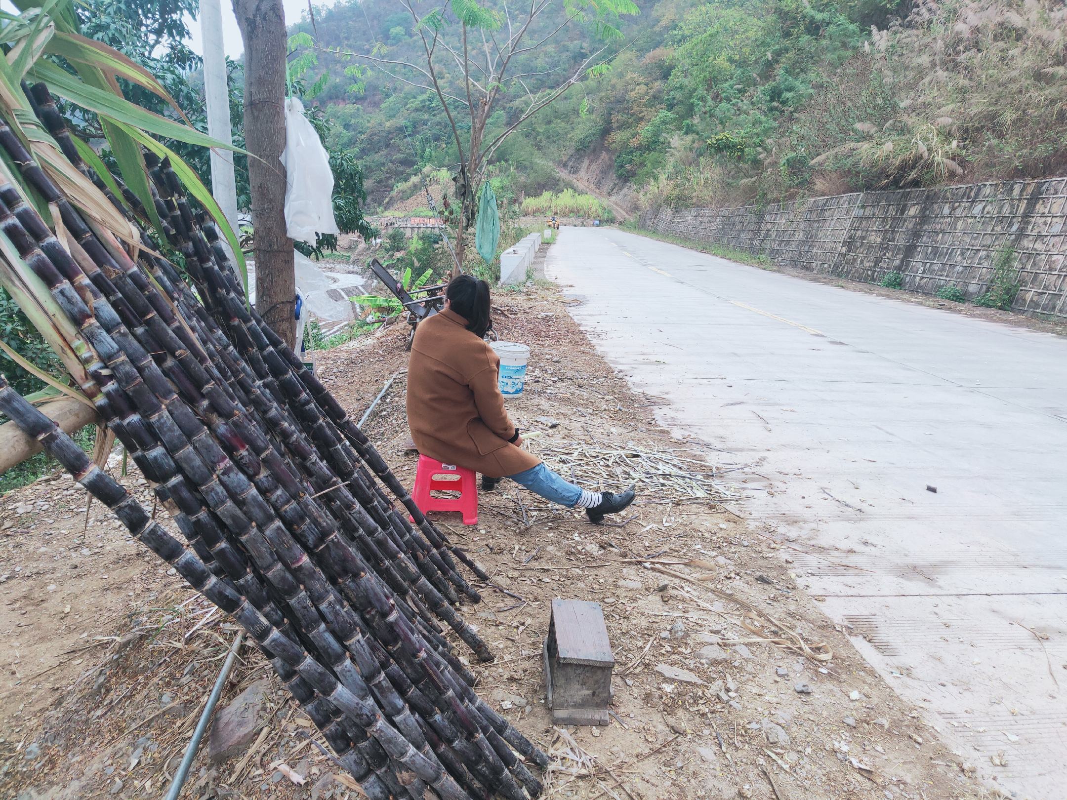 一名身穿白大褂的医生坐在诊室桌前,正在询问一位面色苍白的年轻女性患者情况,桌上放有病历本和听诊器,墙上挂有‘急诊科’标识牌,角落处可见输液架,营造出真实的医疗环境氛围,用于强调甘蔗中毒后的应急处置重要性 医生在医院接诊疑似食物中毒患者的模拟场景