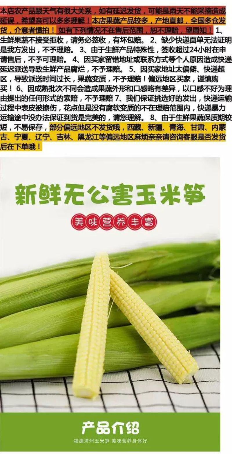 新鲜水果玉米笋皮包装现摘即食迷你小玉米须玉米芯玉米棒包邮