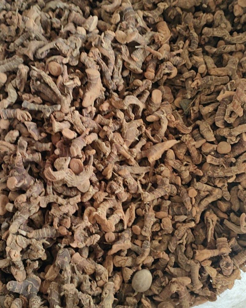 精品良姜，良姜干净无杂质，来电价格优惠，欢迎新朋友来电咨