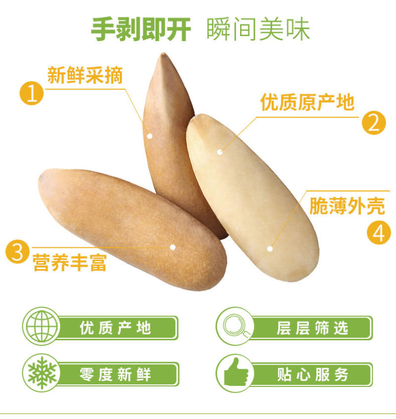 厂家销新日期大颗粒新籽松灵薄手剥巴西松子原味多规格包邮