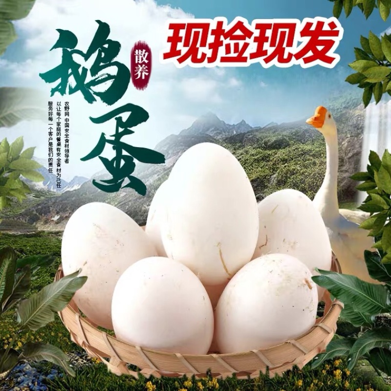 鹅蛋支持电商一件代发农家鲜鹅蛋鹅蛋产地直销