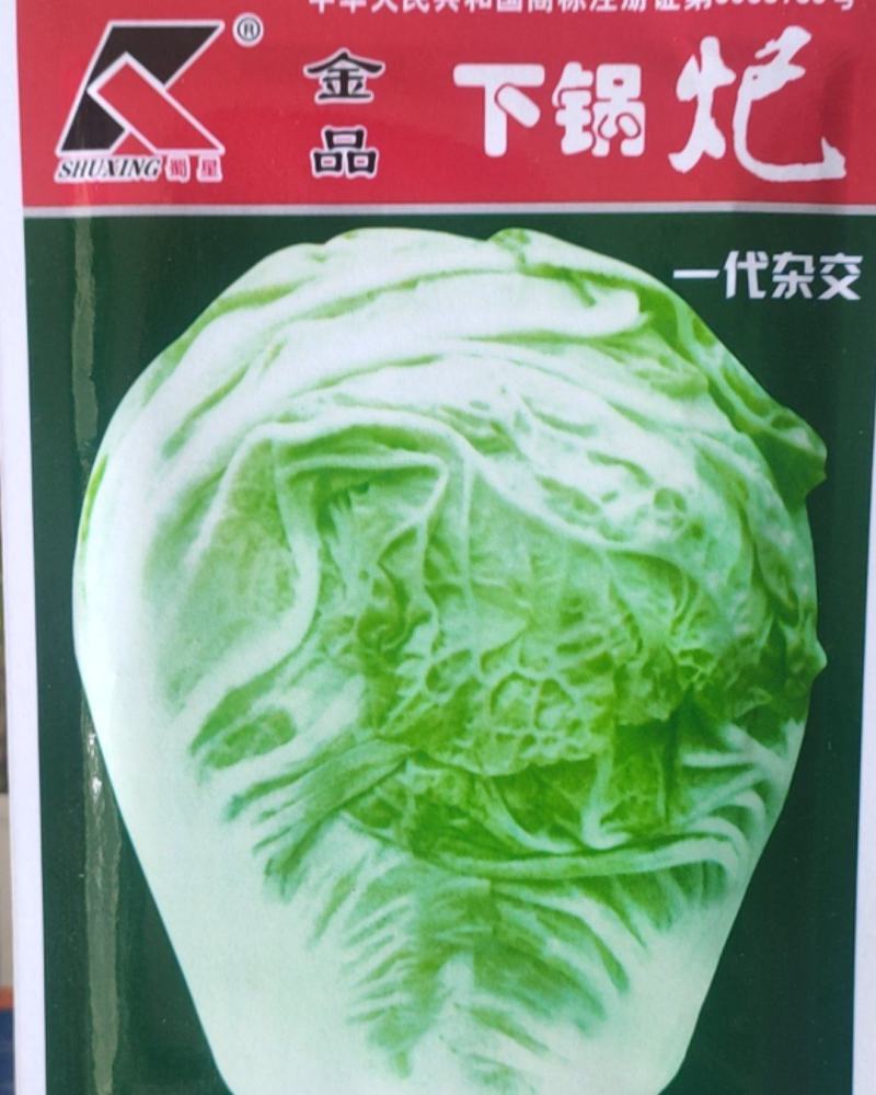 耐热白菜种子夏阳白种子夏阳白白种子耐40度高温