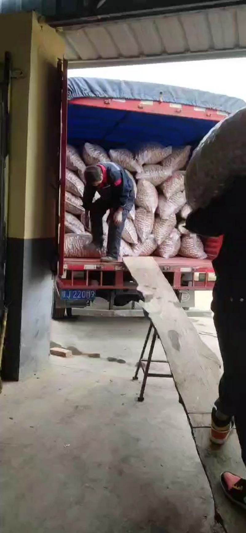 黄龙香玲核桃