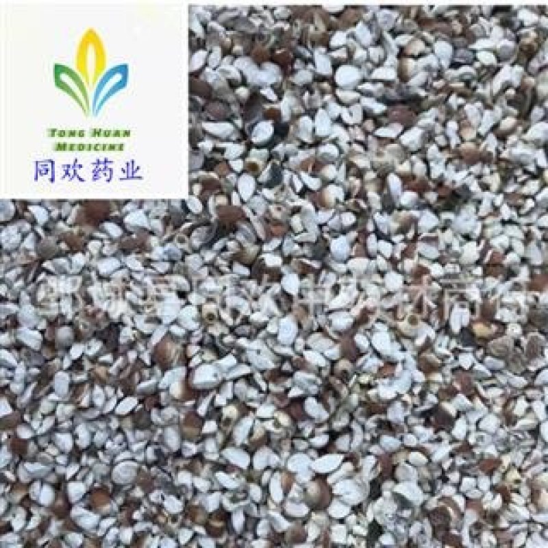【四六瓣芡实】@【同欢药材】中药材批发供应规格齐全