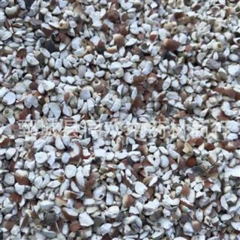 【四六瓣芡实】@【同欢药材】中药材批发供应规格齐全