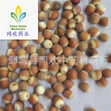 【选装芡实个】@【同欢药材】中药材批发供应
