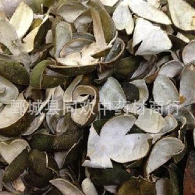 【四花青皮】@【同欢药材】中药材批发供应规格齐全量大从