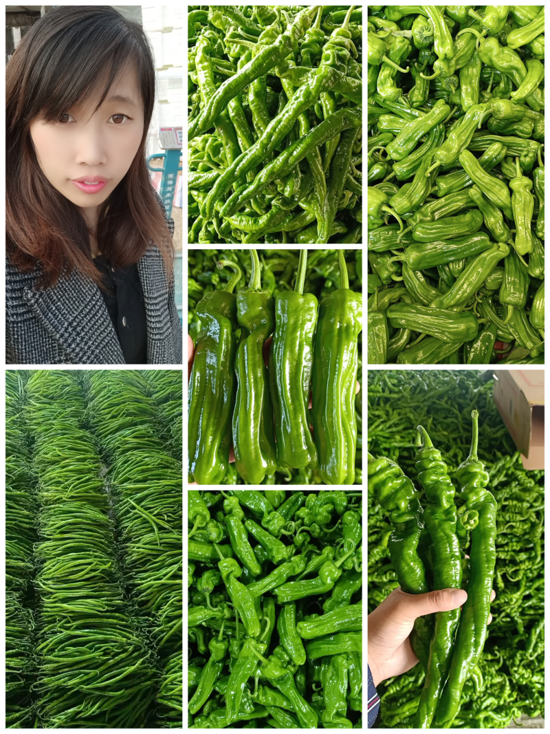 新优薄皮椒【原产地】芜湖椒**电商市场超市保质保量