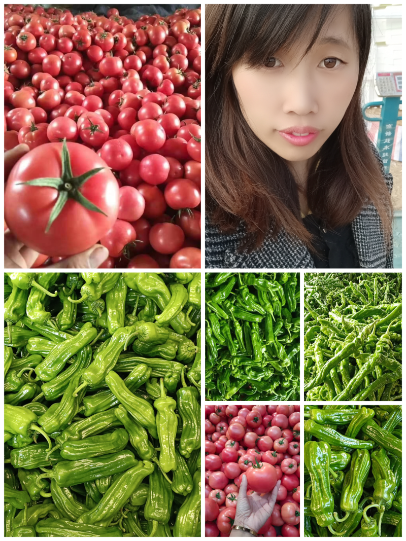 新优薄皮椒【原产地】芜湖椒**电商市场超市保质保量
