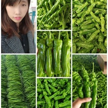 新优薄皮椒【原产地】芜湖椒**电商市场超市保质保量