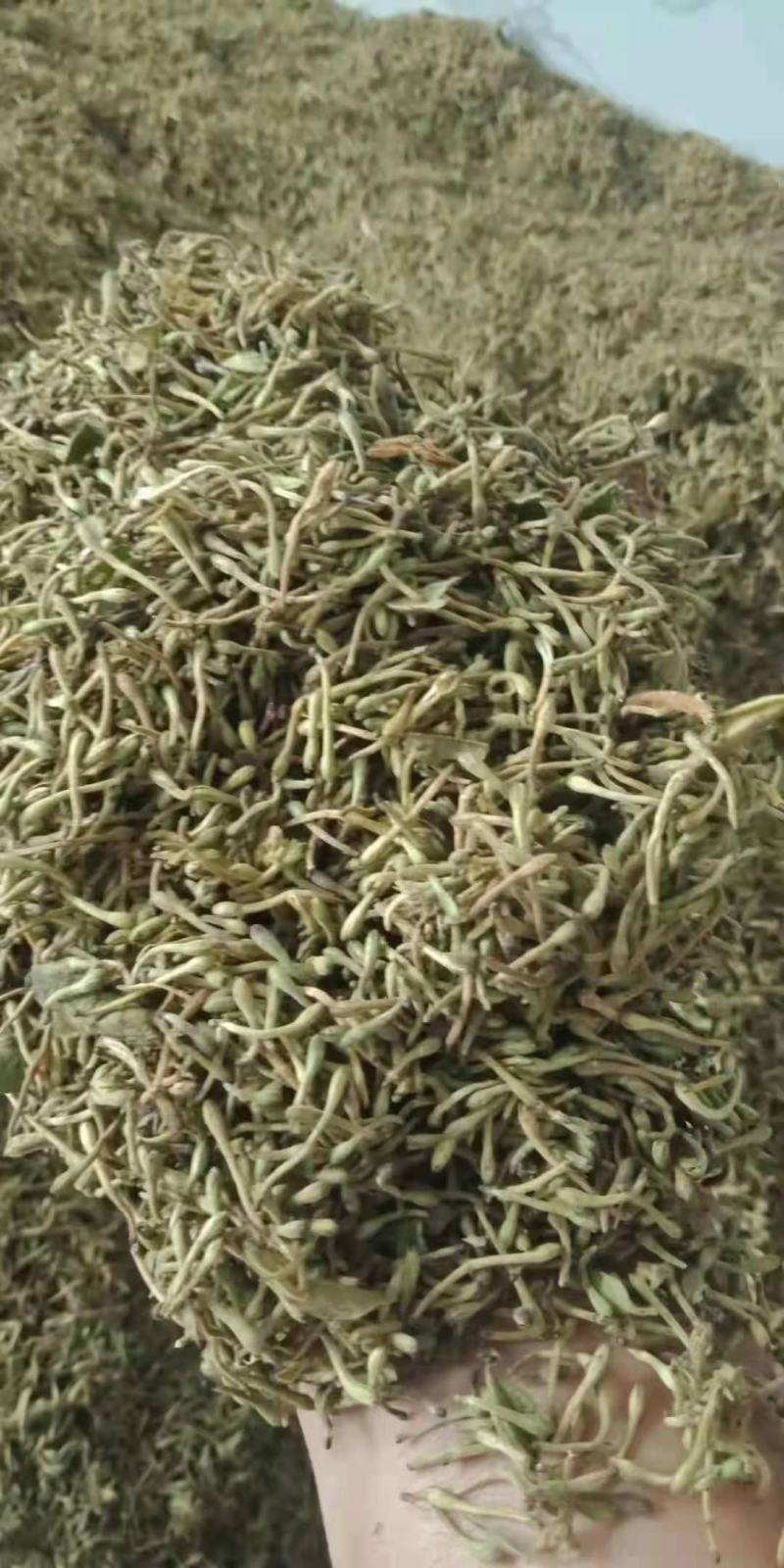 优质金银花手工花泡茶贵州原生中药材