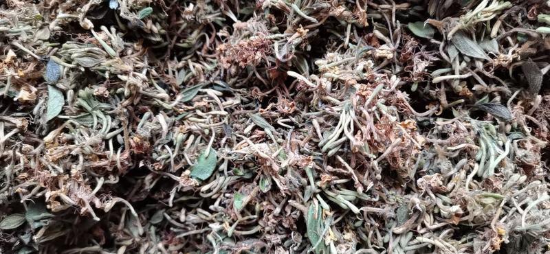 优质金银花手工花泡茶贵州原生中药材