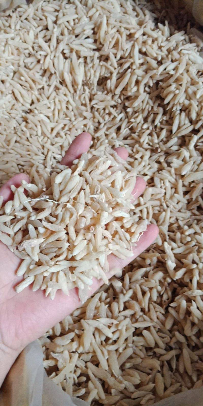 中药材麦冬绵阳川麦冬天然无硫麦冬新货正品泡茶泡水