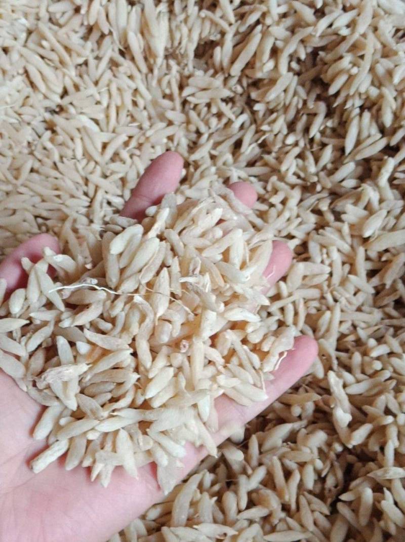中药材麦冬绵阳川麦冬天然无硫麦冬新货正品泡茶泡水