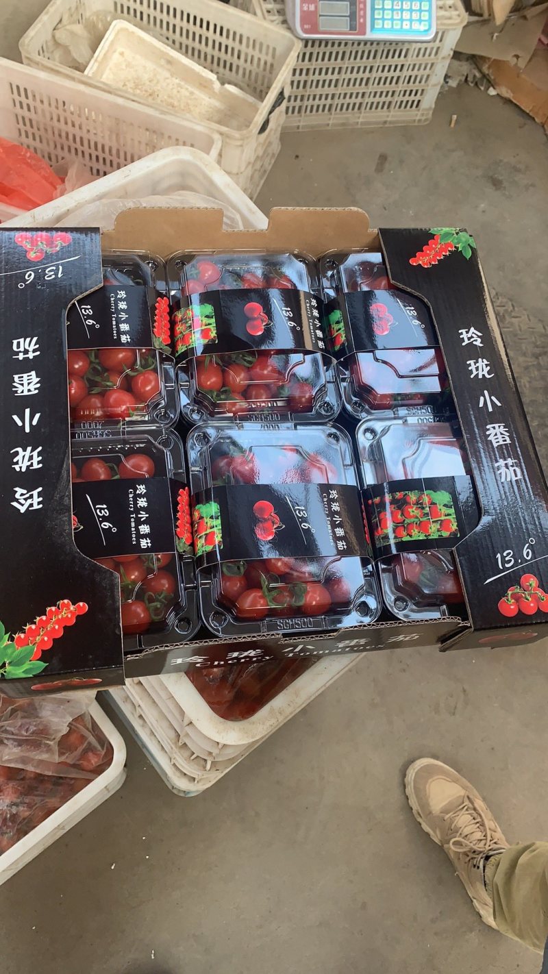 山东主产区釜山88，甜度12以上，口感香甜，