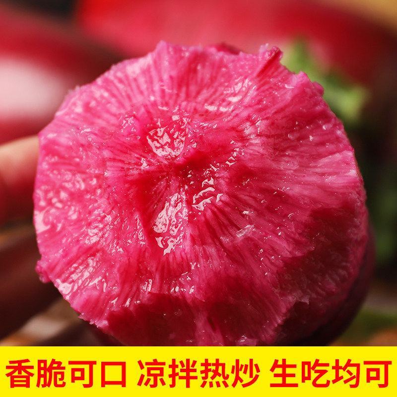 萝卜，心里美水果萝卜，现挖现发，甜脆可口，品质保证5斤起