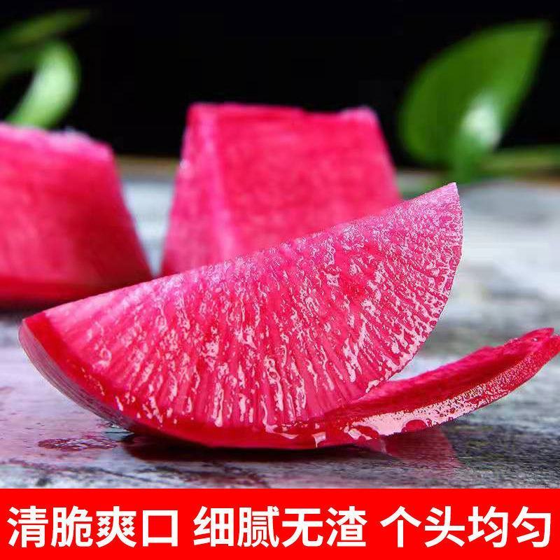 萝卜，心里美水果萝卜，现挖现发，甜脆可口，品质保证5斤起