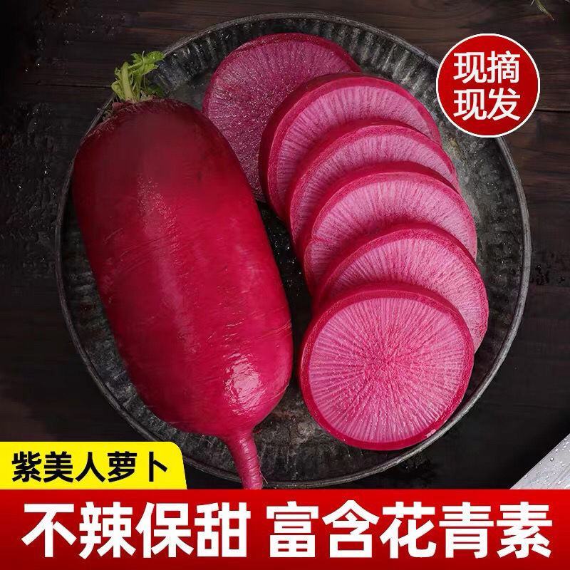 萝卜，心里美水果萝卜，现挖现发，甜脆可口，品质保证5斤起