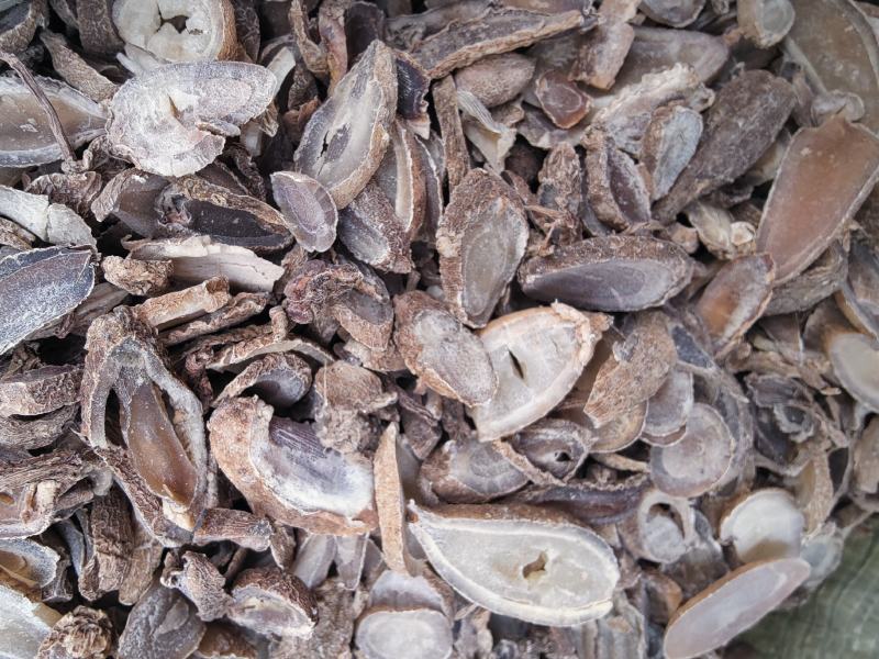 中药材郁金天然纯新货无硫玉金新鲜干货广郁金片