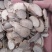 浙江三棱中药材优质正品野生三菱京三棱有散装三棱中药材