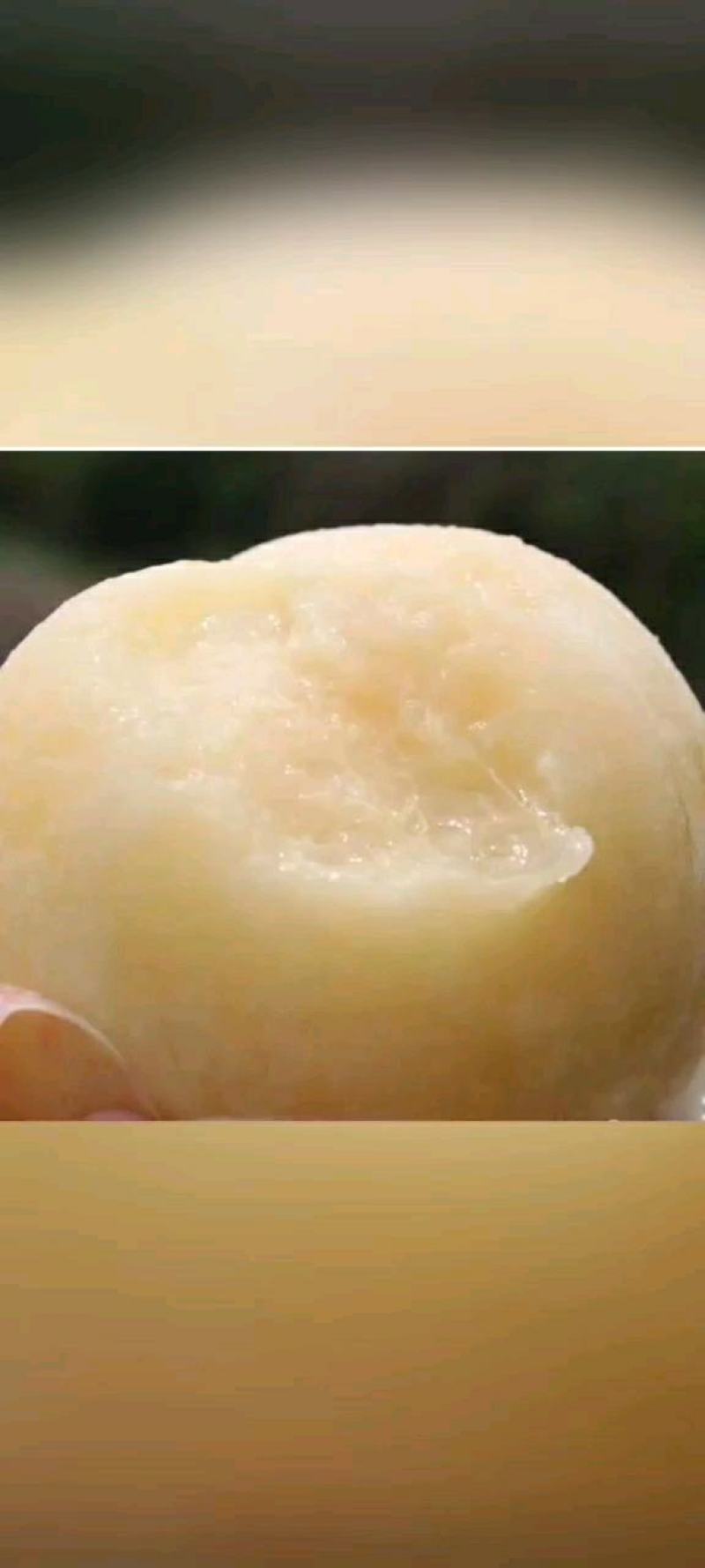 水蜜桃树苗白凤品种