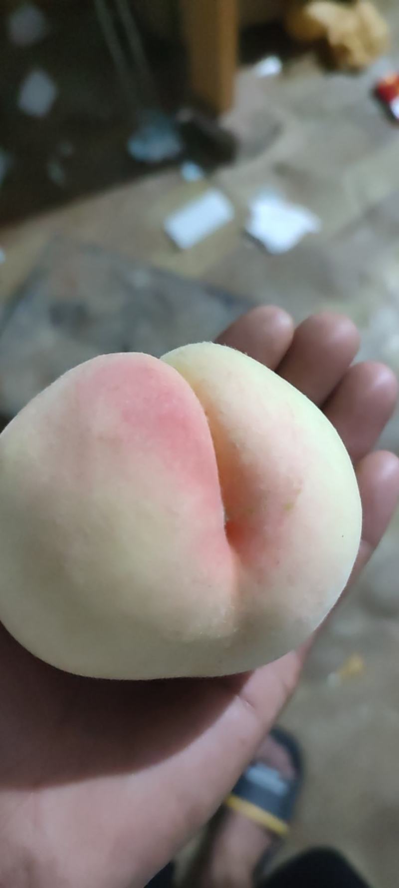 水蜜桃