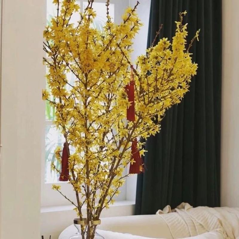 寸寸金串串金干枝花鲜花