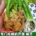 根芹种子根洋芹籽吃根吃叶子的芹菜种子春夏秋种植