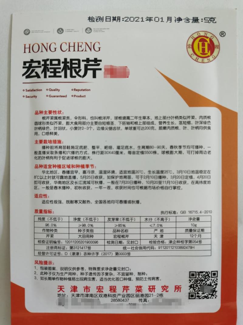 根芹种子根洋芹籽吃根吃叶子的芹菜种子春夏秋种植
