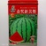 金奖美都西瓜种子早熟品种露天大棚均可种植品种种子
