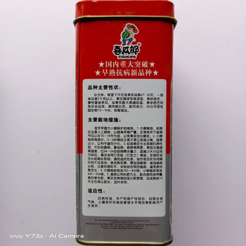 金奖美都西瓜种子早熟品种露天大棚均可种植品种种子